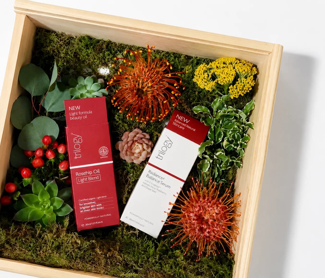 The Trilogy skincare-garden-box gifted to press and influencers