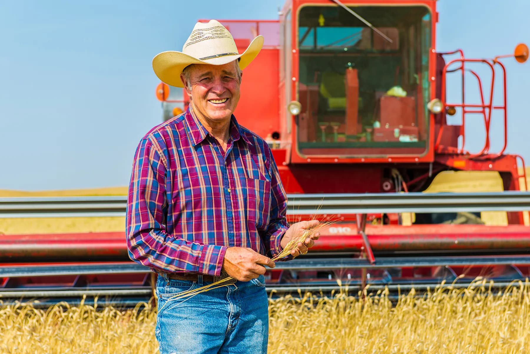 KAMUT® Brand Wheat: An Ongoing 17-Year Partnership.